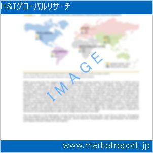 市場と産業調査レポートのイメージ
